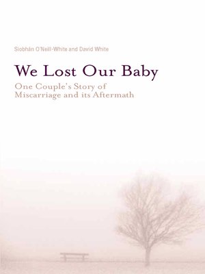 cover image of We Lost Our Baby
